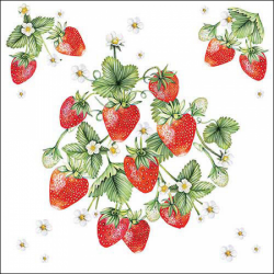 SERVIETTE - Fraisier x 20...