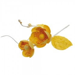 ANEMONE - Jaune 10cm x 10