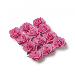 ROSE - Fushia sur tige x 12...