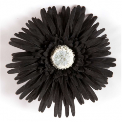 GERBERA - Noir x 4 (en...