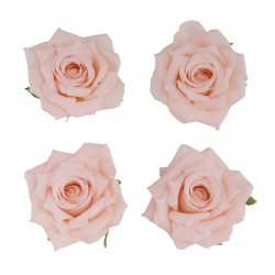 ROSE - Pêche/saumon x 4 (en...