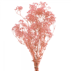 FLEURS SECHEES - Bouquet de...
