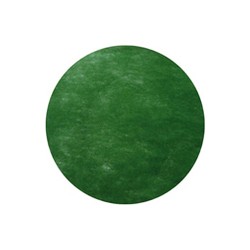 SET DE TABLE - Rond vert...