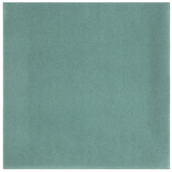 SERVIETTE CELISOFT/INTISSE...