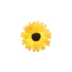 MARGUERITE - Jaune x 24 (en...