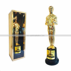 TROPHEE DE STAR - La...