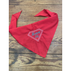 BANDANA/FOULARD - Team EVG...