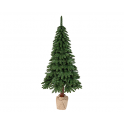 SAPIN - Tora vert (d1m20 /...