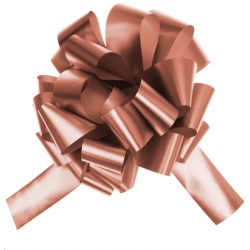 NOEUD - Automatique rose...