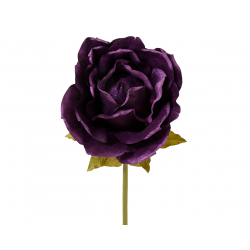 PIQUET/TIGE - Rose prune...
