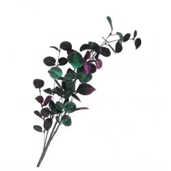 BRANCHE/PIQUET - Eucalyptus...