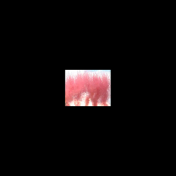 FUMIGENE - F2 - FUMIGENE...