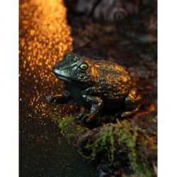 DECOR HALLOWEEN - Crapaud...