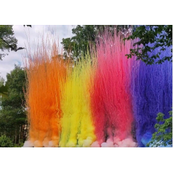 FUMIGENE - F2 - FUMIGENE...