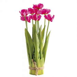 BOUQUET - Anémone fushia x...