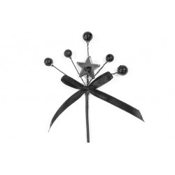 PIQUET/BOUQUET - Etoile...