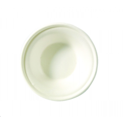 BOL - Fibre de canne x 25...