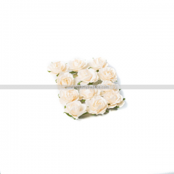 ROSE - Ivoire sur tige x 12...