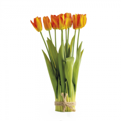 BOUQUET - Tulipes orange x...