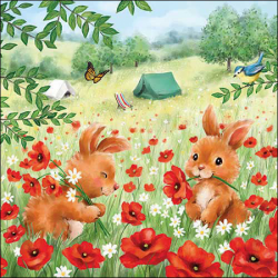 SERVIETTE - Lapin et...