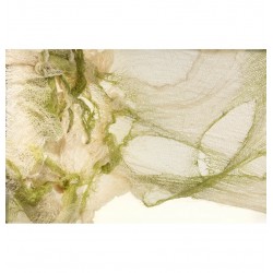 TISSU LAMBEAU/RIDEAU - Vert...