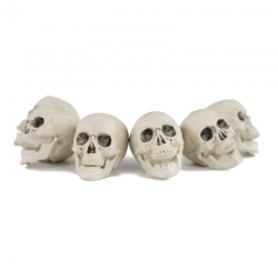 CRANE/TETE DE MORT x 6 (en...