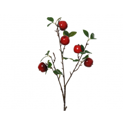 BRANCHE/PIQUET - Pommes et...