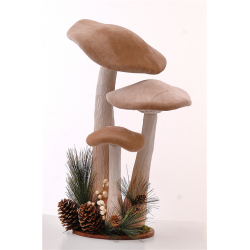 CHAMPIGNON - Avec décor...