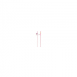 PRINCESSE - Paille x 10 (en...