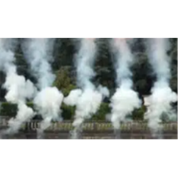 FUMIGENE - F2 - FUMIGENE...