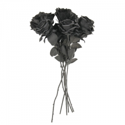 BOUQUET - Rose noire x 5...