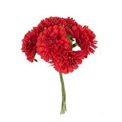 BOUQUET - Œillet rouge x 6...