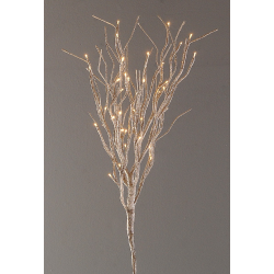 BRANCHE - Lumineuse...