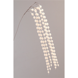 PIQUET/BRANCHE - Boules de...