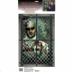 TROMPE L'OEIL - Fenêtre asylum