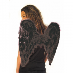 AILE - Ange/Plume noire...