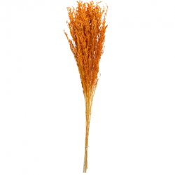 FLEURS SECHEES - Bouquet de...