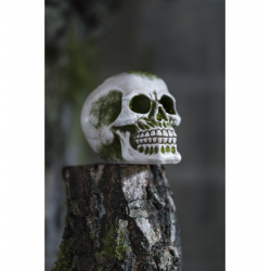 DECOR HALLOWEEN - Crane...