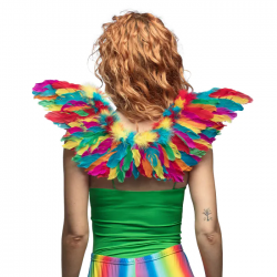 AILE - Ange/oiseau arc en...