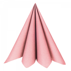 SERVIETTE CELISOFT/INTISSE...