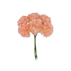 BOUQUET/PIQUET - Hortensia...