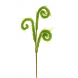 PIQUET/BRANCHE - Tourbillon...