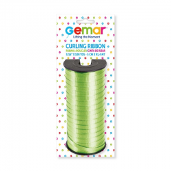 RUBAN - Bolduc vert menthe...