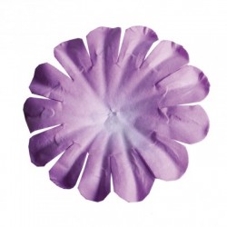 FLEUR - Lilas/parme x 10...