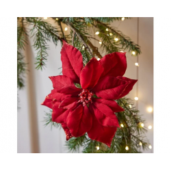 DECOR DE NOEL - Poinsettia...