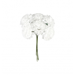 BOUQUET/PIQUET - Hortensia...