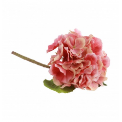 BRANCHE/TIGE - Hortensia...