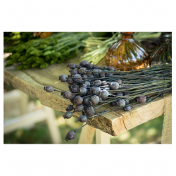 FLEURS SECHEES - Bouquet de...