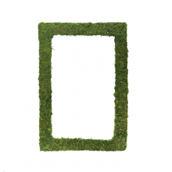 CADRE - Végétal avec mousse...