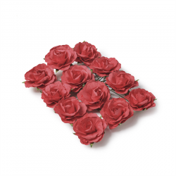 ROSE - Rouge sur tige x 12...